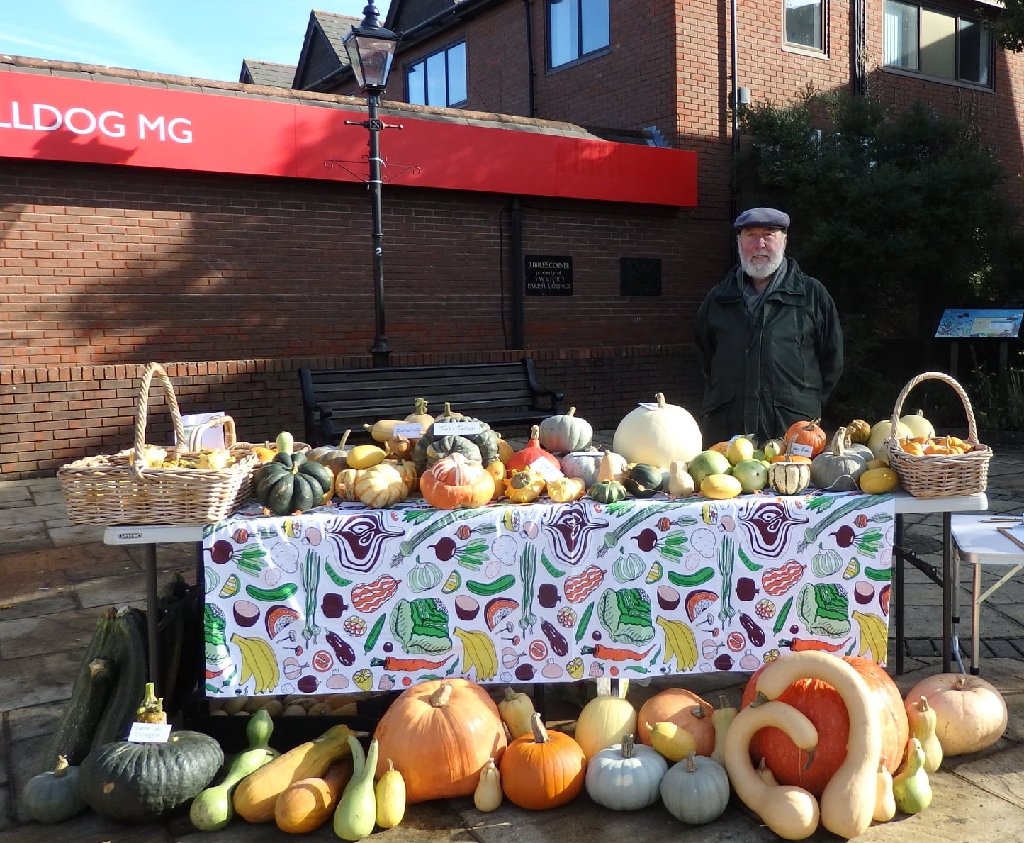 pumpkin day 2019 trimmed2