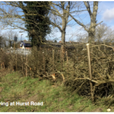 Events Hedge Fun 1 300x199