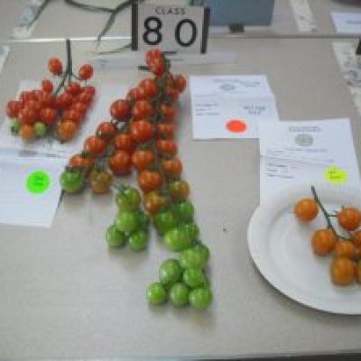 Cimg0548 300x2257ada5985 03d3 6932 F7e0 1fa8f0a8a231