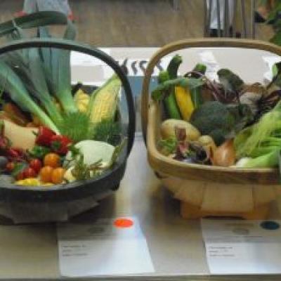 Cimg0555 300x225af80cd61 Dbf2 35e0 5961 27f435cc6354